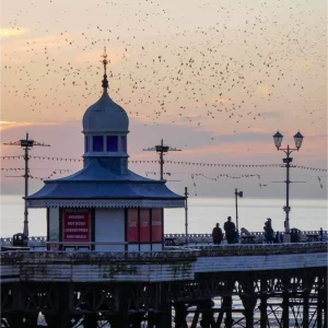 Blackpool Bird Song